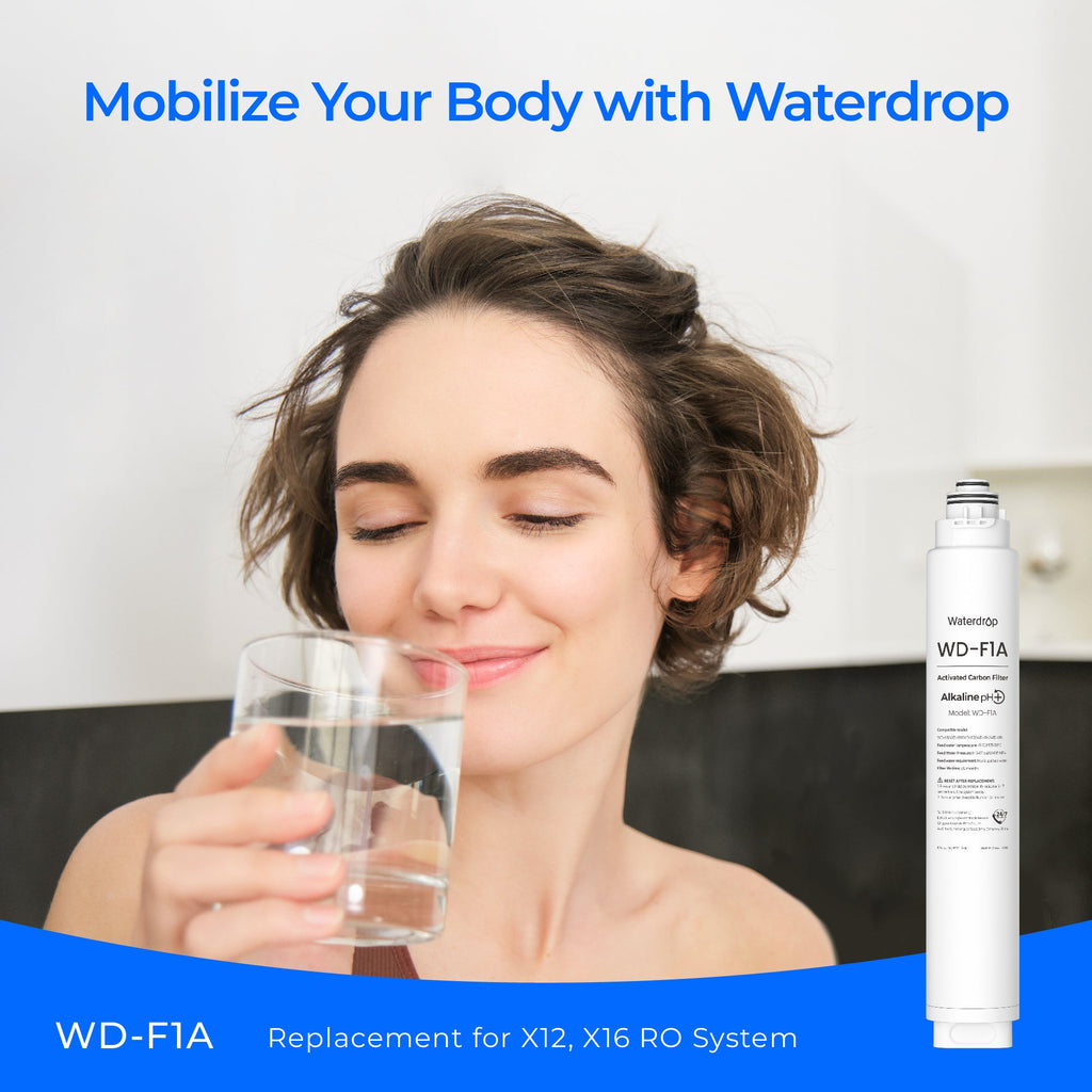 F1A Filter für Waterdrop X Serie Umkehrosmosesystem