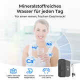 Waterdrop G5P700A Alkalischer Umkehrosmose Wasserfilter 700 GPD