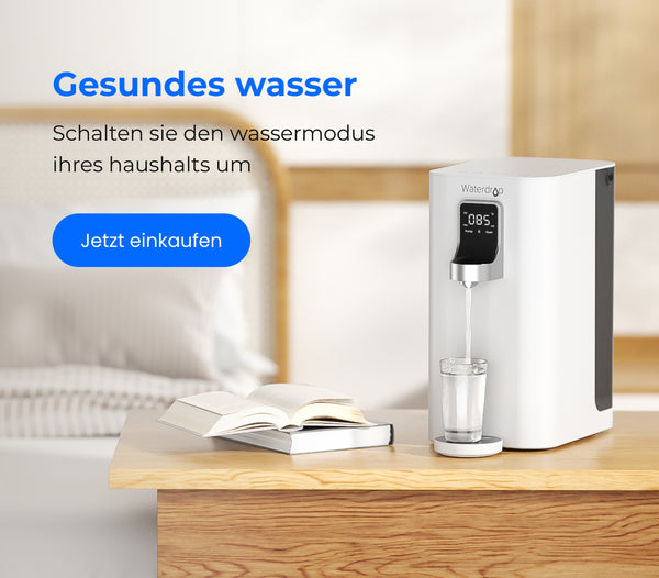 K19-H Heiß RO Wasserspender