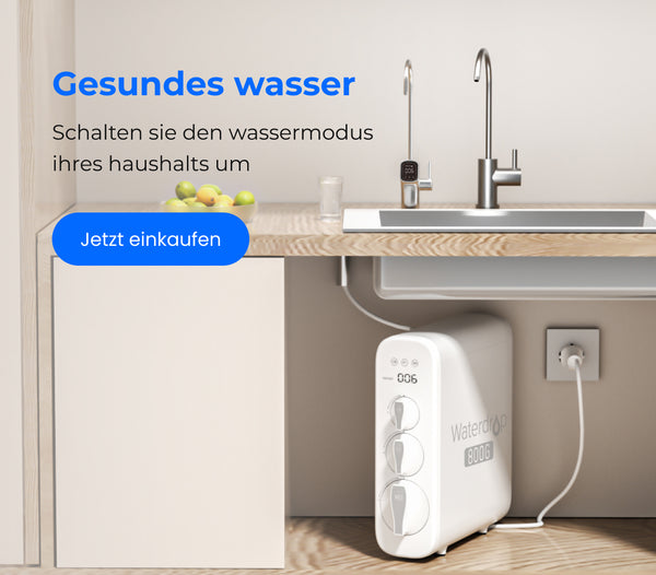G3P800 Untertisch Wasserfilter
