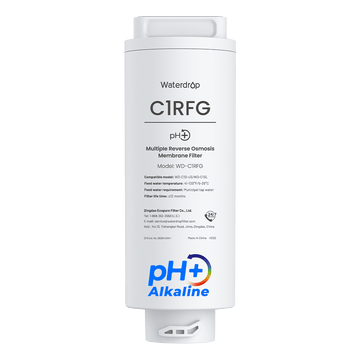 Waterdrop C1RFG Ersatzfilter für C1S und C1SL CoreRO Tischgeräte