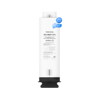 CF-Filter