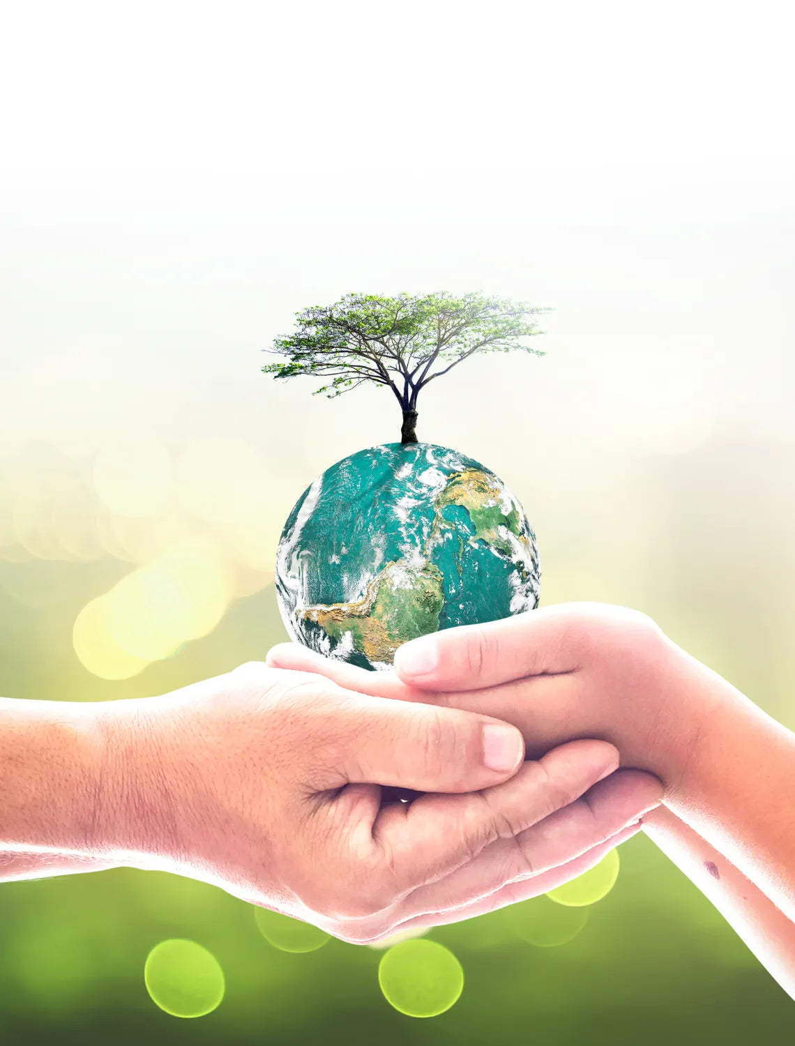 Die ökologischen Aspekte von Umkehrosmose-Wasserfiltersystemen