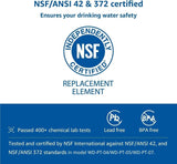 WD-PF-01A Plus NSF-zertifizierte Ersatzfilter für alle Waterdrop Kannen und Spender